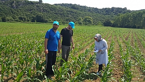 Büyükşehir’in çiftçiye desteği sürüyor