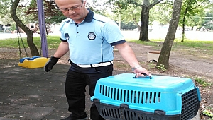 Büyükşehir Zabıtadan yaralı kediye yardım eli