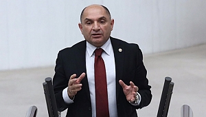 CHP’li Tarhan komisyon sözcüsü oldu