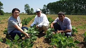 Çiftçilerin ürünlerini Büyükşehir kontrol ediyor