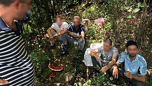  Define avcılarına suçüstü