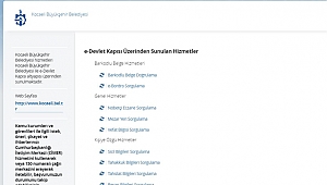  e-Devlet kapısına iki yeni hizmet daha eklendi