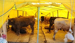 Gebzespor’da gözler Kurban Pazarı’nda