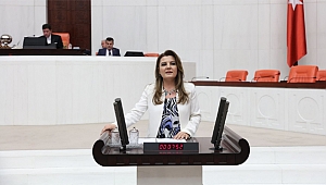 Hürriyet, "Özgür basın için mücadele edeceğiz"