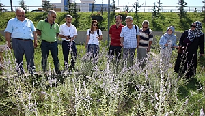 KO-MEK’ten istihdama yönelik yeni branş