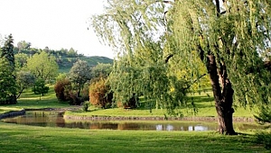 Millet bahçesi projesinin ayrıntıları