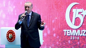 "Örgütün kolları kesildi"