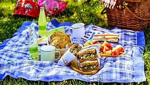 Pikniğe giderken renkli kıyafetler giymeyin