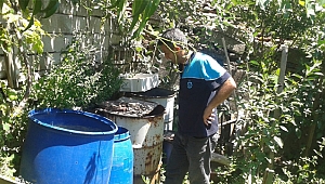Sivrisinekle mücadelede günlük bin bidon su boşaltılıyor