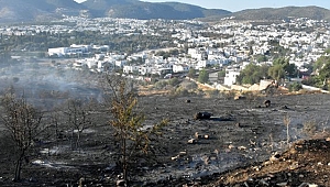 Yangınlar isyan ettirdi