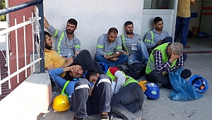 Yüzlerce işçi hastanelik oldu!