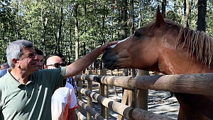 “20 Milyon metrekarelik alanı yeşillendirdik”