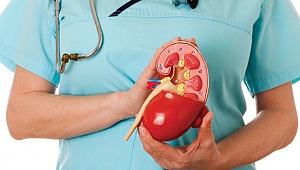 Aşırı sıcaklar böbrek sağlığını bozuyor!