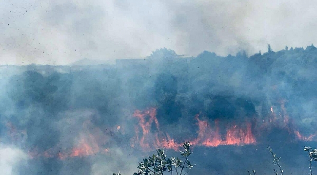 Balçık Köyü’nde yangın