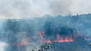 Balçık Köyü’nde yangın