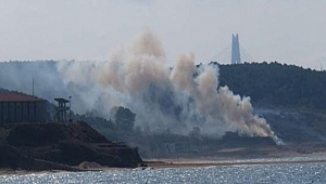 Beykoz Riva'da orman yangını