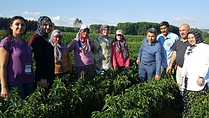 Büyükşehir’den yerli teşviği