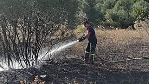 Darıca’da alevler korkuttu