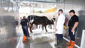 Kesimler hijyenik ortamda yapıldı