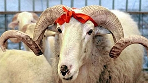 Kocaeli Valiliği’nden önlemler