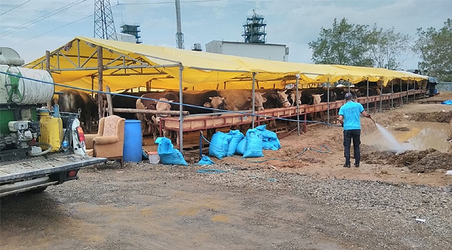 Kurban satış yerlerine Büyükşehir’den ilaçlama