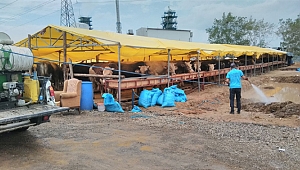 Kurban satış yerlerine Büyükşehir’den ilaçlama