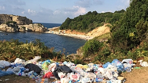 Sardala Koyu'nda isyan ettiren görüntü