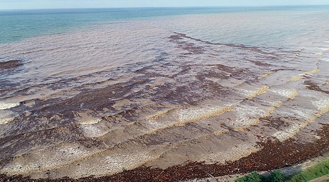 Selde 1100 ton fındık zarar gördü