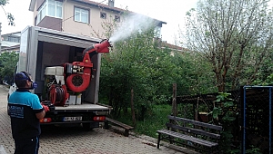 Sivrisineklere amansız mücadele