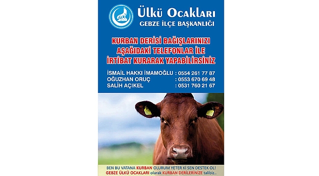 Ülkücüler kampanya başlattı