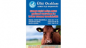 Ülkücüler kampanya başlattı