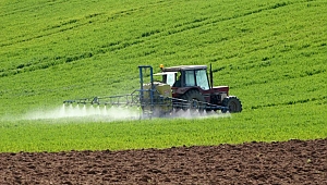 218 bin çiftçiye hazine arazisi verilecek