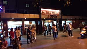 Bakırköy'de şarbon karantinası