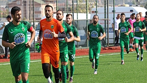 BAL 9.Grup kurtlar sofrası gibi