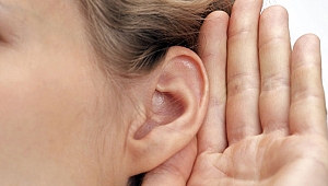 İç kulakta yeni nöronlar keşfedildi