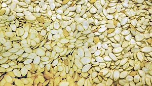 Kabak çekirdeğindeki tehlike