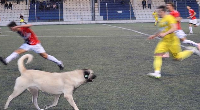 Metin Oktay'ın davetsiz misafiri