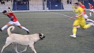 Metin Oktay'ın davetsiz misafiri