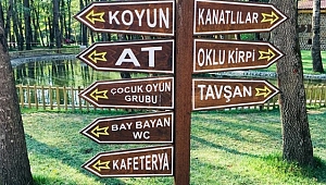 Hayvan popülasyonuna katkı sağlanacak