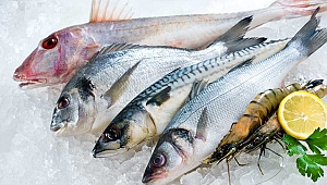 Valilikten su ürünleri denetimi