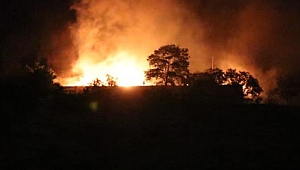 Yangınlar vatandaşı bunalttı