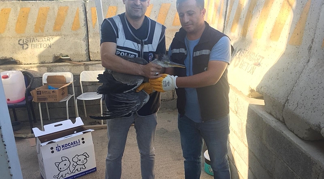 Yaralı kuşa polis eli uzandı