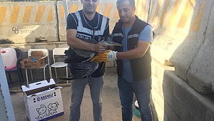 Yaralı kuşa polis eli uzandı