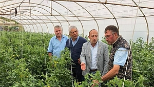 Ziraat odası yerli üreticiyi destekleyecek