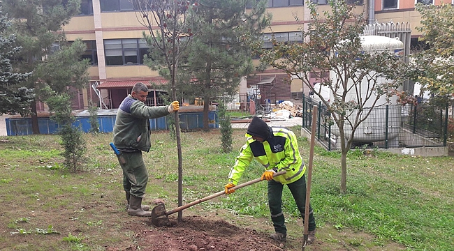 Ağaç dikim sezonu İzmit’ten başladı