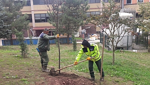 Ağaç dikim sezonu İzmit’ten başladı