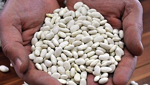 Bakliyat tüketmenin faydaları