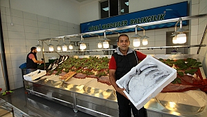 Balıkçılar yeni yerinde