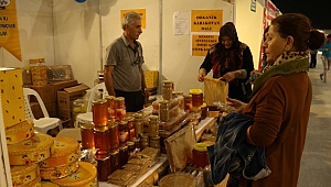 Bingöl Kocaeli’ye taşındı