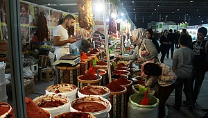 Bingöl rüzgarı, Kocaeli’de esmeye devam ediyor